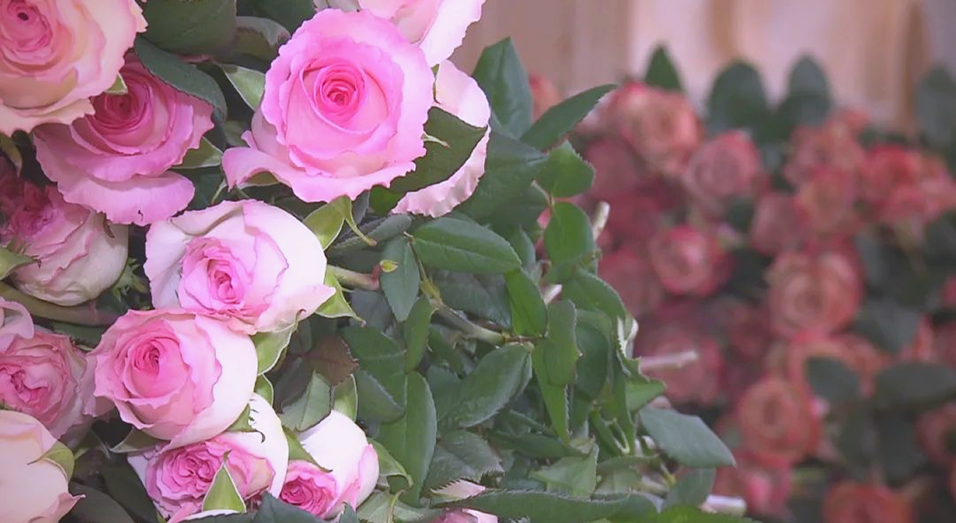 AQUATIC FROZEN PRODUCTS