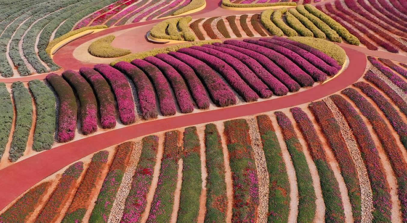 AQUATIC FROZEN PRODUCTS