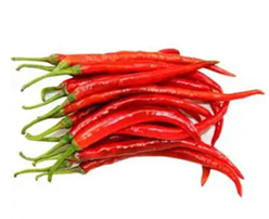 Fresh Chilli