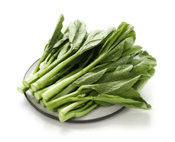 Fresh Kind of Cabbage