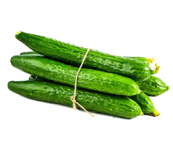 Fresh Cucumber