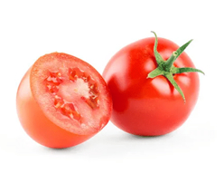 Fresh Tomato