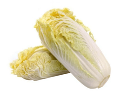 Fresh White Chinese Cabbage