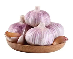 Fresh Garlic