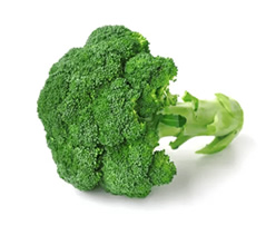 Fresh Broccoli