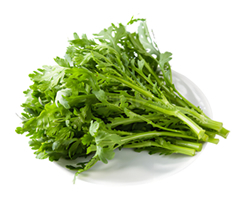 Fresh Garland Chrysanthemum