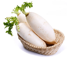 Fresh White Radish