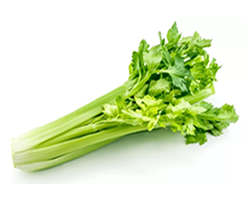 Fresh Celery