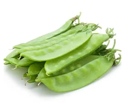 fresh snow peas