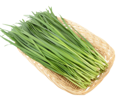 Fresh Chinese Chive