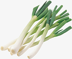 Fresh Spring Onion