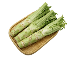 Fresh Chinese Mustard