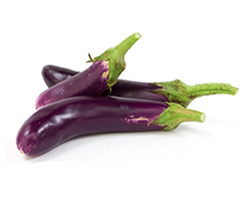 Fresh Eggplant