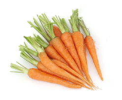 Fresh Baby Carrots