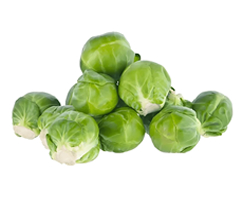 Fresh Small Cabbage