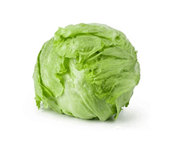 Fresh Butter Lettuce