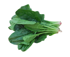 Fresh Spinach