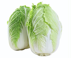 Fresh Chinese Cabbage