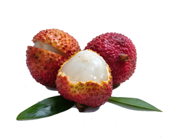 Lychee