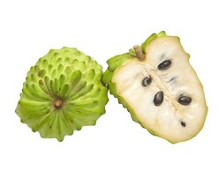 Sugar Apple